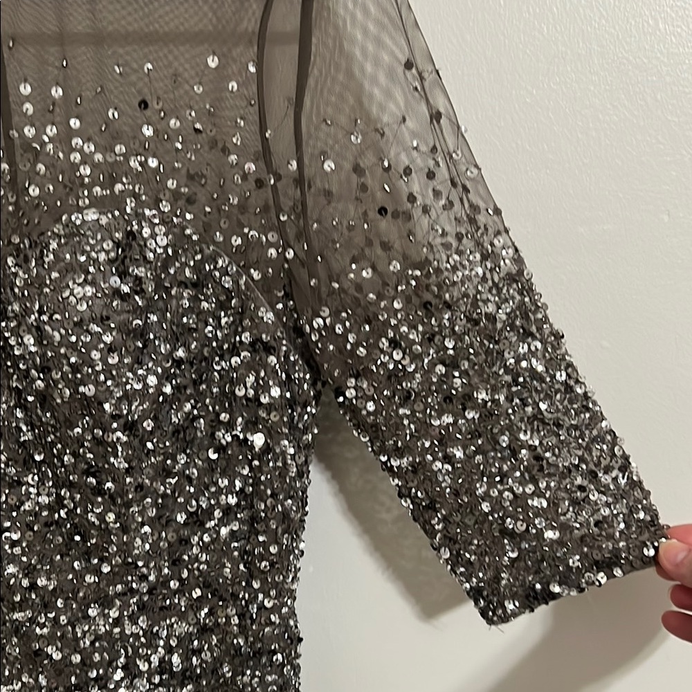 Adrianna Papell Silver Sequin Long Sleeve Mesh Dress - Picture 4 of 8